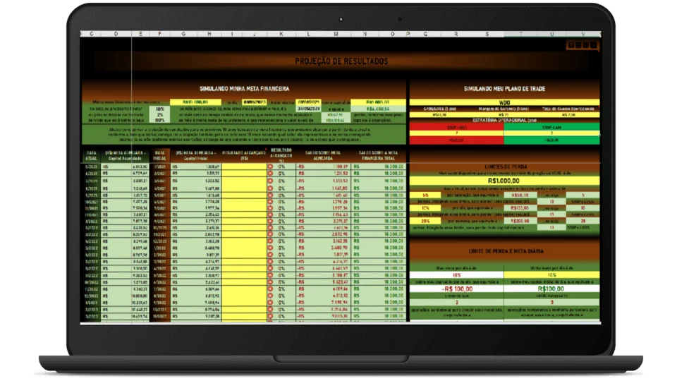 A planilha num notebook, mostrando o preenchimento diário